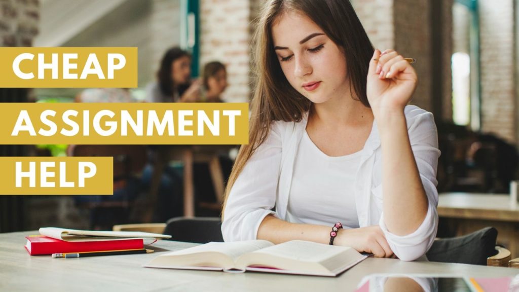 assignment help uk cheap