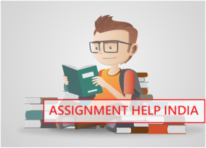 assignment help online india