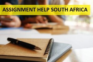 assignment assistance south africa