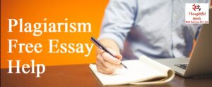 plagiarism free essay writers